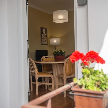 Casa Do Carvalhal - Natureza No Centro Da Cidade ξενώνας Santa Maria da Feira Εξωτερικό φωτογραφία
