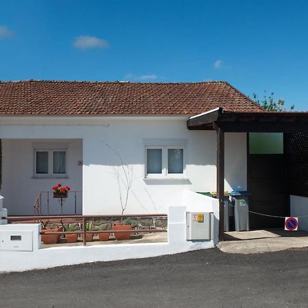 Casa Do Carvalhal - Natureza No Centro Da Cidade ξενώνας Santa Maria da Feira Εξωτερικό φωτογραφία