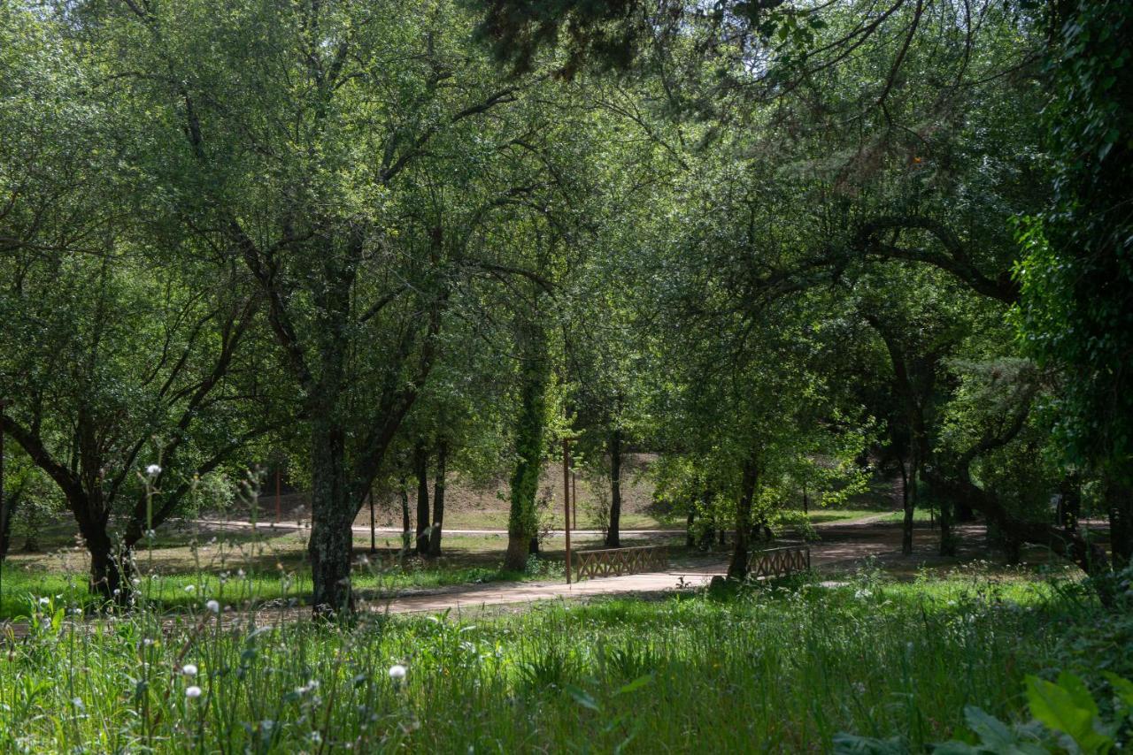 Casa Do Carvalhal - Natureza No Centro Da Cidade ξενώνας Santa Maria da Feira Εξωτερικό φωτογραφία