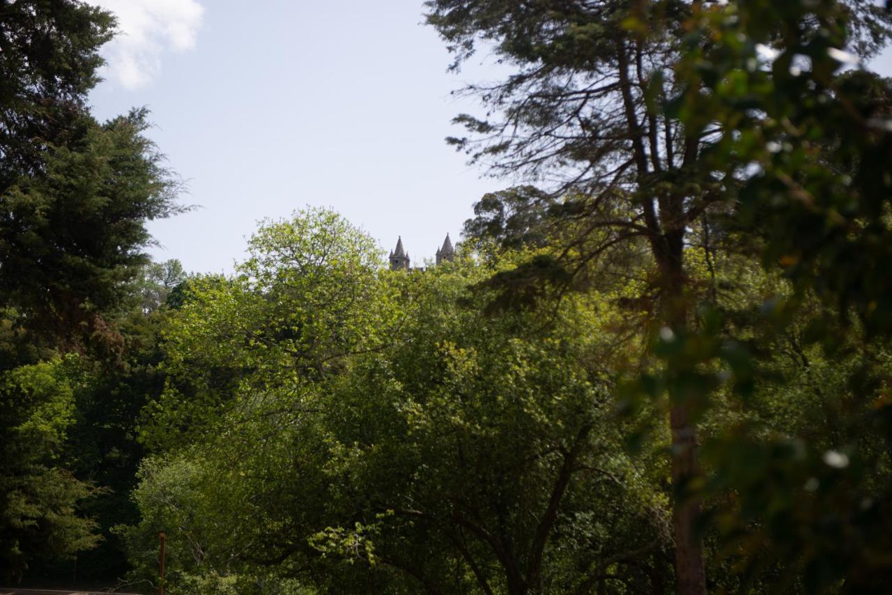 Casa Do Carvalhal - Natureza No Centro Da Cidade ξενώνας Santa Maria da Feira Εξωτερικό φωτογραφία