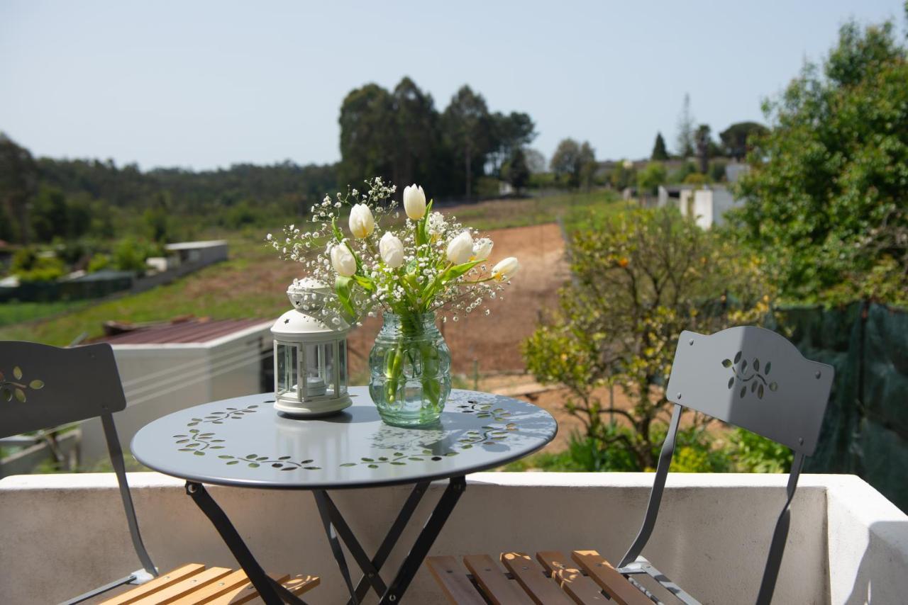 Casa Do Carvalhal - Natureza No Centro Da Cidade ξενώνας Santa Maria da Feira Εξωτερικό φωτογραφία
